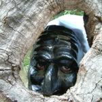 010_Bamonte Pasqualina