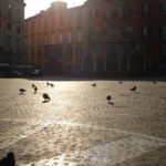 022_Nappi Libera